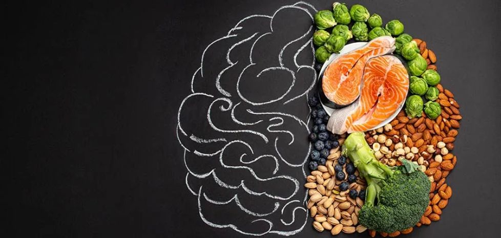 food and brain